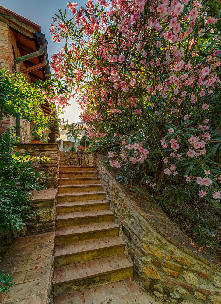Agriturismo Casanova Di Pescille ซานจีมิญญาโน ภายนอก รูปภาพ